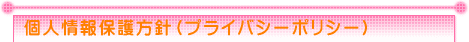 �l���ی���j�i�v���C�o�V�[�|���V�[�j