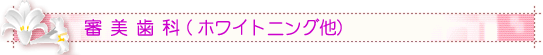 �ٓ��s�̎���҂��� - �R������(�z���C�g�j���O��)
